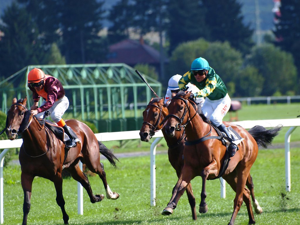 Horse racing