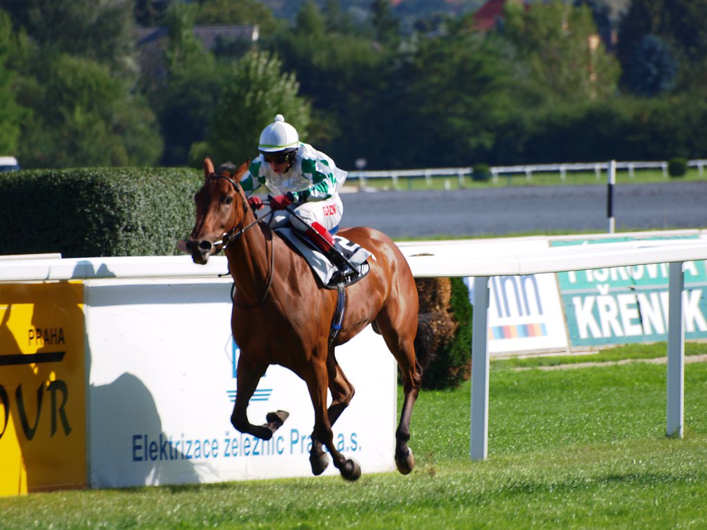 Horse racing