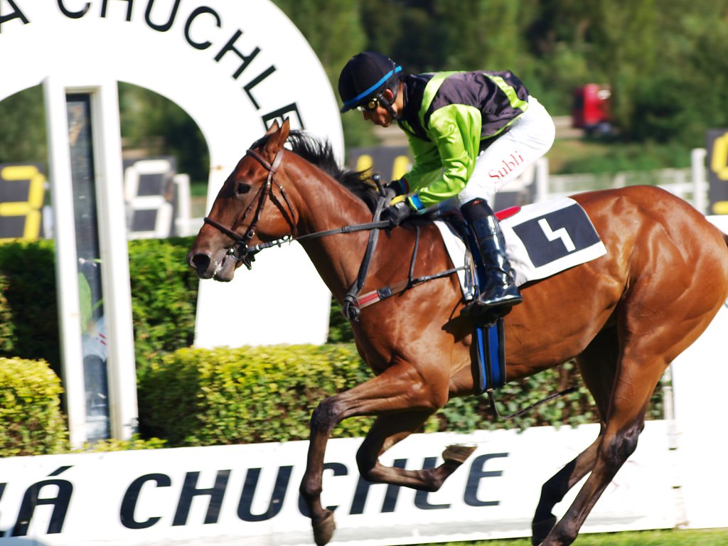 Horse racing